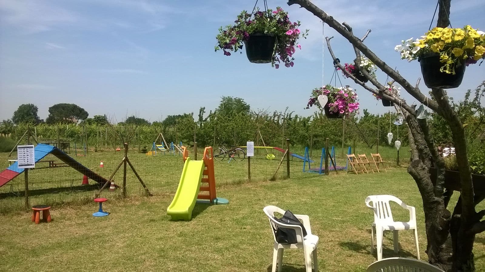 Campo del Centro Cinofilo Il Ciliegio — Forlì