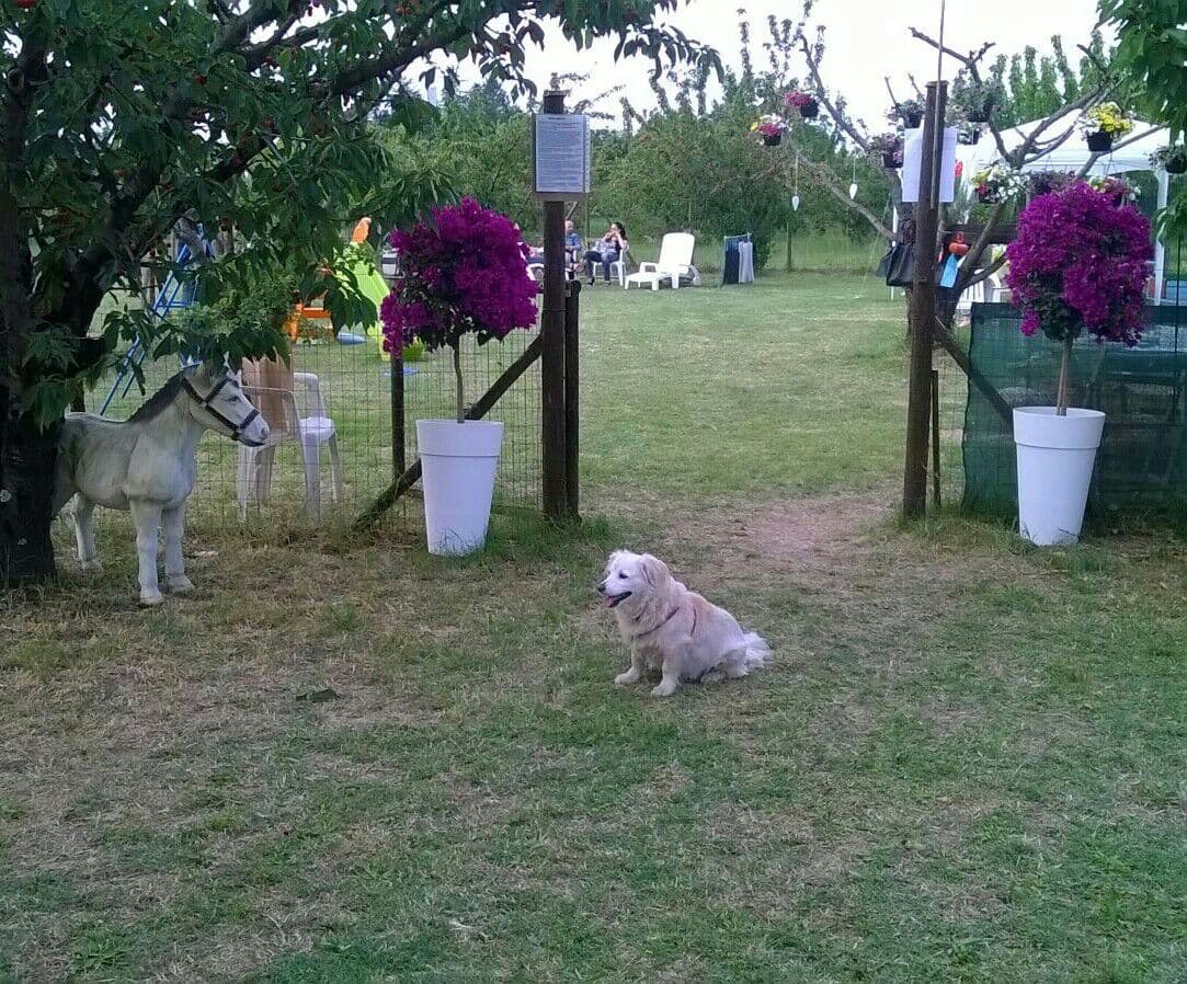 Campo recintato 3000mq
